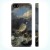 Чехол ACase для iPhone 5 | 5S Calais Pier